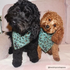 Khaki Leopard Bandana -Cocopup London twotinycockapoos